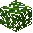 Leaves Mango