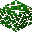 Leaves Walnut