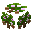 Sapling Almond