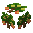 Sapling Mango