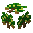 Sapling Walnut