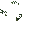 Bush Block