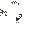Flowered Bush Block