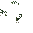 Flowered Bush Block