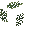 Climbing Plant