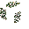 Flowered Climbing Plant