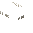 White Coffee Sign