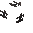 Black Large Pot