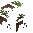 Hanging Plant (Fern)