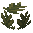 Plant (Aloe)