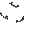 Black and Orange Roof (In)