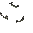 Black and Green Roof (In)