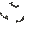 Black Roof (In)