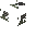 Black and Green Roof (Out)