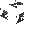 Black Roof (Out)