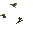 Tree 1