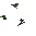 Tree 2