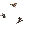 Tree 4