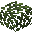 Brazilian Nut Leaves