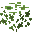 Clover Petals