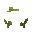 Coconut Sapling
