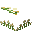 Daffodil