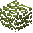 Ginkgo Leaves