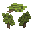 Green Ginkgo Sapling