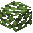 Ipe Leaves