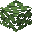 Ivory Leaves