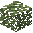 Juniper Leaves