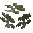 Juniper Sapling