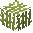 Large Mustard Plant