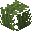 Large Prickly Grass