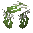 Large White Clover