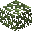 Maple Leaves