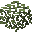 Pine Leaves