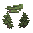 Pine Sapling