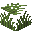 Prickly Grass