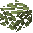 Sycamore Leaves