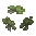 Sycamore Sapling