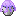 Purple Jellyfish In A Bucket