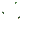 Flower Hedge\nSlice of Life Add-On