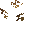 Arid Bush