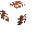Brown Nutcap