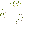 Bulbous Cactus