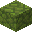 Bulbous Moss Layer