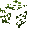 Clover Patch