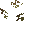 Dry Bush