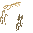 Dry Reeds